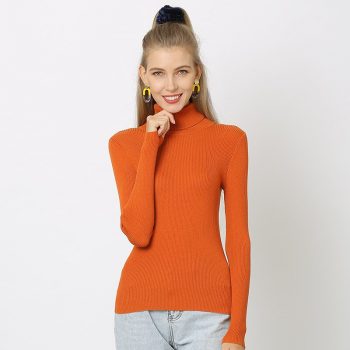 2019 New Women 30% Wool Turtleneck Sweater Fall Winter Jumper Render Knit Basic Pullover Solid Color OL Lady Knitted Tops PZH001