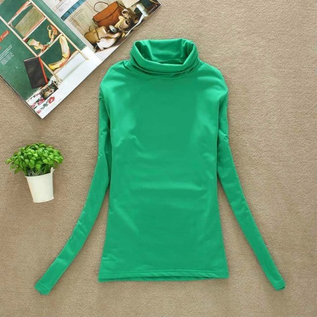BACHASH 2020 High Quality Fashion Spring Autumn Winter Sweater Women Wool Turtleneck Pullovers Fashion Women’s Solid Sweaters