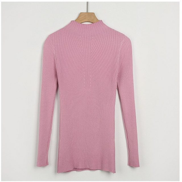 BACHASH New Fashion Women Turtleneck Sweater Wool Casual Spring Winter Women Bottoming Slim Warm Knitted Pullovers Female Woman